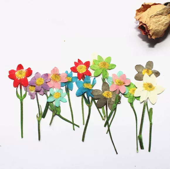 Mô phỏng Lily Hoa Frangipani Hoa Phòng khách Trang chủ Nội thất Trang trí Hoa Nhựa Hoa Lily Đơn Bình Hoa Sắp xếp - Hoa nhân tạo / Cây / Trái cây bình hoa giả để bàn