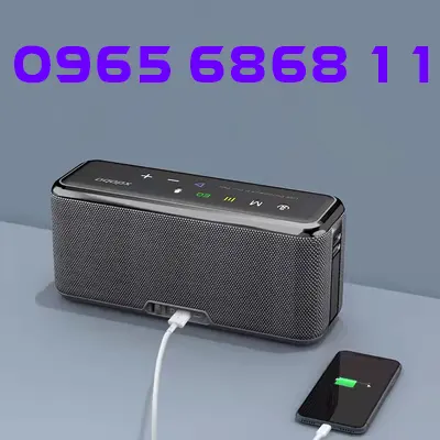 Loa bluetooth âm thanh nổi Divoom Xiduobao X8MAX âm thanh vòm 3d trên ô tô loa ô tô chất liệu Silicone 	máy nghe nhạc bằng đĩa than	