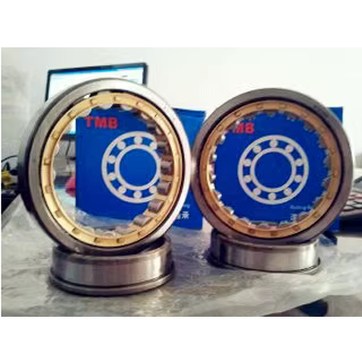 Chiết Giang Tianma TMB Vòng bi N213E N213EM 2213EH RN213 502213 Vòng bi lăn hình trụ bi 6204
