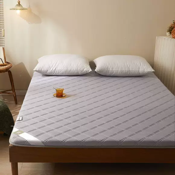 Tấm trải giường bằng vải flan cho học sinh có thể giặt được gấp đôi giường gấp giường chống trượt đệm lót sàn bọ cạp
