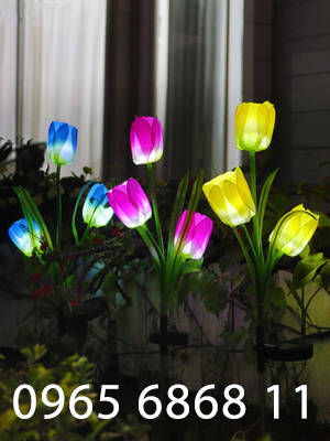 Đèn hoa năng lượng mặt trời sân vườn bố trí ban công đèn trang trí cảnh quan hoa tulip cắm bãi cỏ đèn pin mini