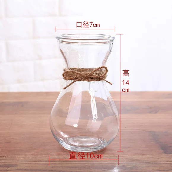 Bình thủy canh cây hoa chậu thủy tinh chai nhỏ sáng tạo nhà sư nhỏ trang trí thú cưng hoa gốm hoa củ cải xanh trong chậu - Vase / Bồn hoa & Kệ chậu cây treo tường trong nhà