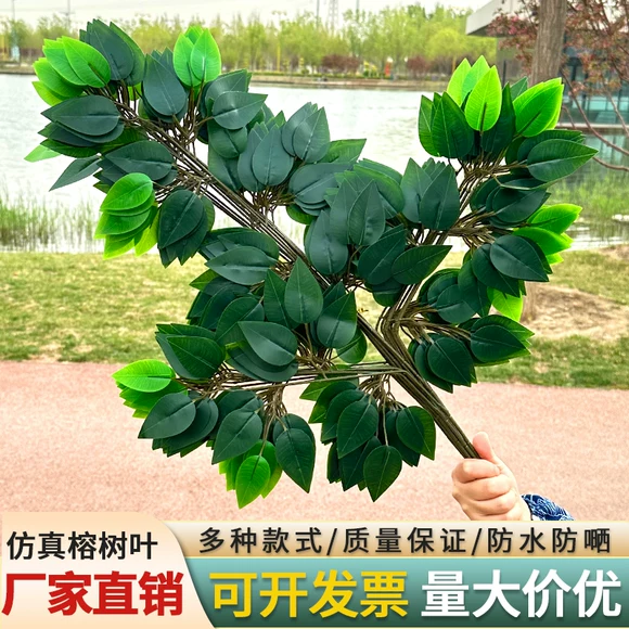 Xiangxue Phalaenopsis mô phỏng chậu hoa trang trí phòng khách bữa ăn Zhu bàn cà phê đặt 绢 vải trang trí nội thất hoa - Hoa nhân tạo / Cây / Trái cây
