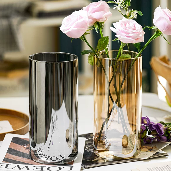 Bình thủy tinh sáng tạo đơn giản nước xanh củ cải dụng cụ trồng cây Châu Âu phòng khách nhà hoa văn hóa nước khô bình - Vase / Bồn hoa & Kệ chậu trồng cây hình chữ nhật