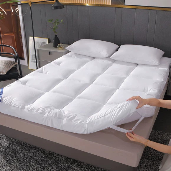 Nệm nhung Fale nhung nhung chống trượt giường 褥 thảm flannel giường bọ cạp 1,5 m 1,8m giường mỏng phần