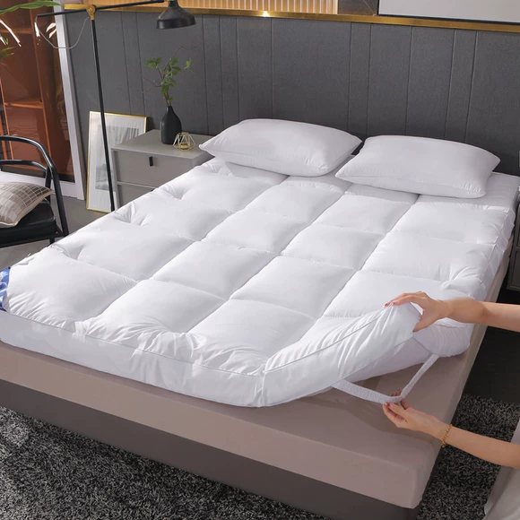 Nệm nhung Fale nhung nhung chống trượt giường 褥 thảm flannel giường bọ cạp 1,5 m 1,8m giường mỏng phần nệm 1m2