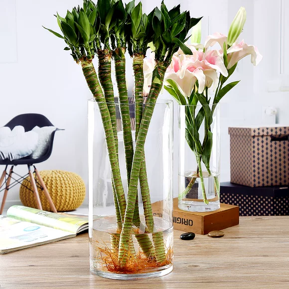 Mới Trung Quốc gốm men bình sáng tạo thêm phòng khách lớn trang trí hoa cắm container khô hoa trang trí nước văn hóa hoa màu xanh lá cây chậu hoa - Vase / Bồn hoa & Kệ
