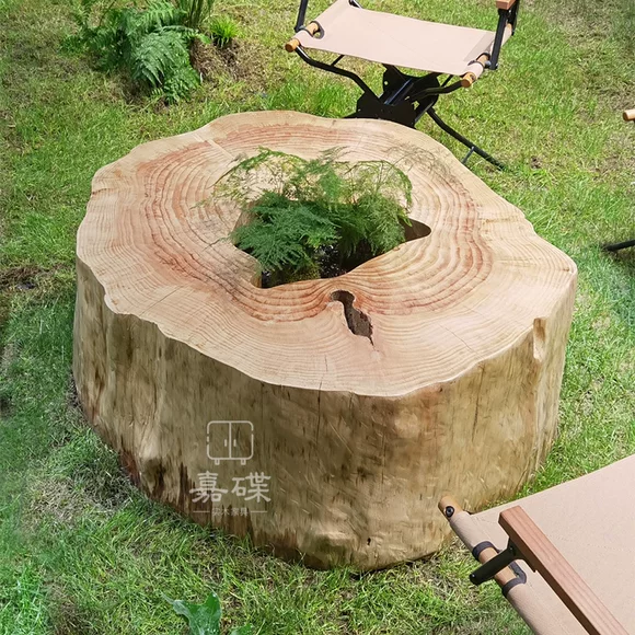 Rễ khắc phân rắn Gỗ khối gỗ gốc cây cọc cơ sở bàn cà phê bàn ​​trà với phân tròn băng ghế gỗ - Các món ăn khao khát gốc