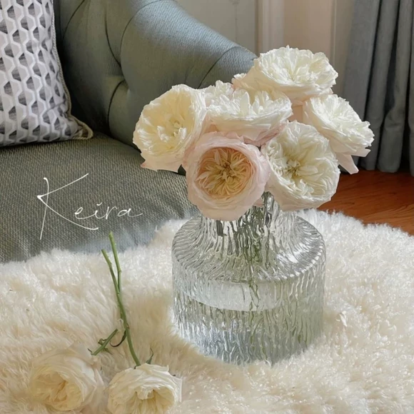 Bình thủy tinh xanh bình thủy thủy dụng cây trồng dụng cụ nhà phòng khách trang trí hoa cắm hoa bình khô - Vase / Bồn hoa & Kệ