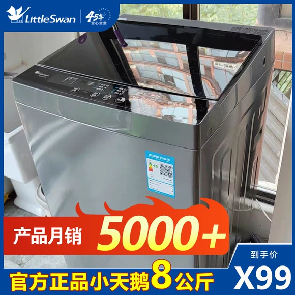 Máy giặt sóng tự động Haier / Haier XQB80-Z1269 Thần đồng lớn 8 kg công suất lớn mới - May giặt máy giặt panasonic