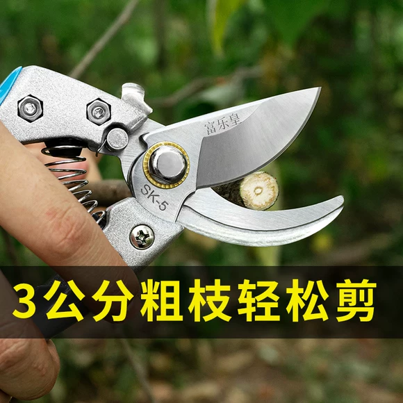 Tưới nước nhỏ có thể tưới nước áp lực tay loại nước hoa dụng cụ tưới hoa Làm vườn tưới nước phun chai 3 miếng - Nguồn cung cấp vườn dụng cụ làm cỏ vườn