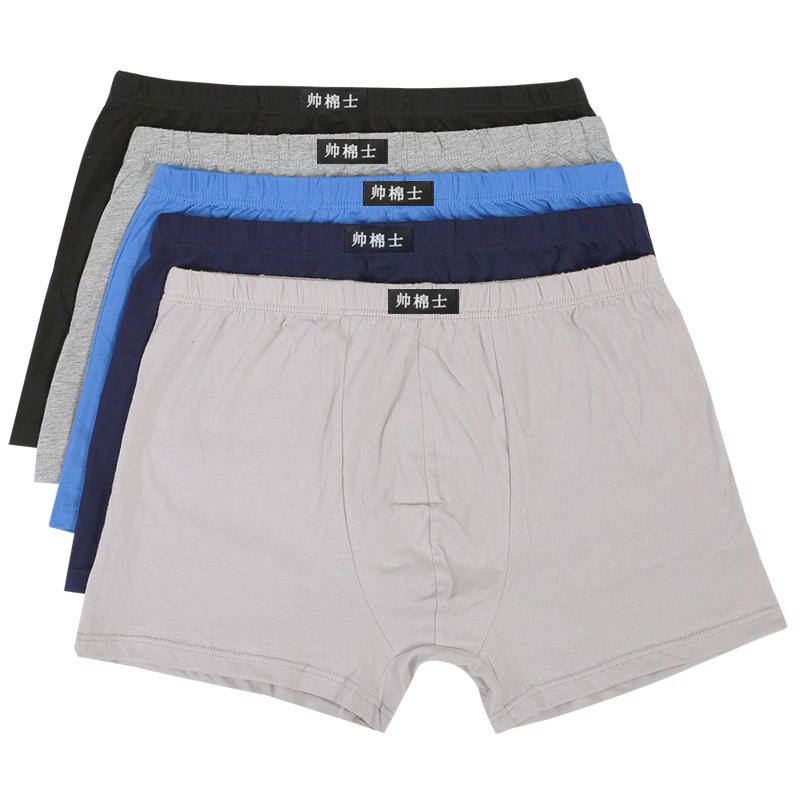 Thanh niên nam đẹp trai boyshort cotton nam thanh niên cotton boxer quần giữa eo quần dưới quan lot nam thun lanh