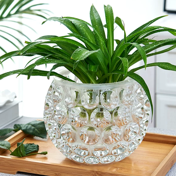 Sáng tạo châu Âu bình thủy tinh lớn cây thủy canh xanh Luo phong phú hoa tre bình phòng khách trang trí bàn trang trí - Vase / Bồn hoa & Kệ