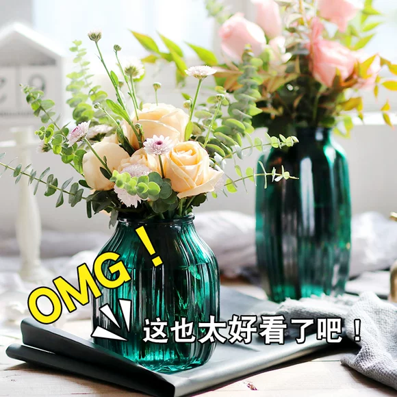 Bình thủy tinh xanh bình thủy thủy dụng cây trồng dụng cụ nhà phòng khách trang trí hoa cắm hoa bình khô - Vase / Bồn hoa & Kệ