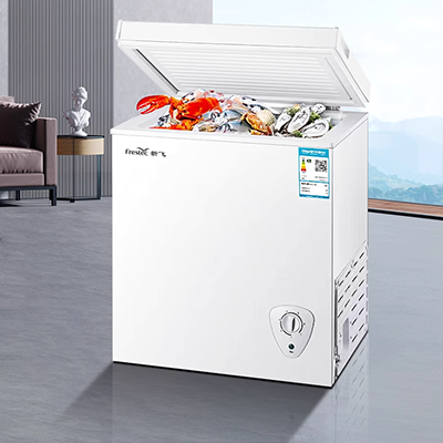 Sui Ling LG4-160 thẳng lạnh tủ trưng bày thương mại tủ đông tủ lạnh nhiệt độ duy nhất tủ đông đá tươi - Tủ đông