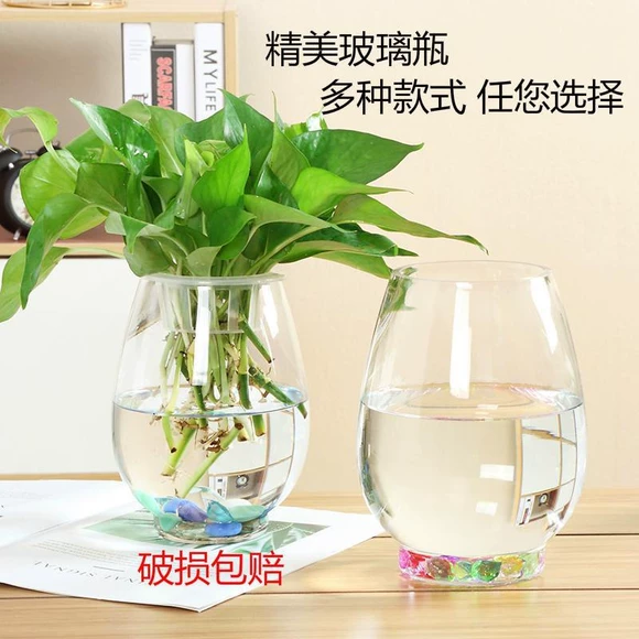 Chậu hoa gốm Những chậu hoa mọng nước / Bình hoa Dòng Địa Trung Hải - Vase / Bồn hoa & Kệ